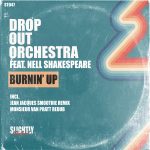 Check Out Drop Out Orchestra feat. Nell Shakespeare ‘Burnin’ Up’ (SLIGHTLY TRANSFORMED) On The DMC Magazine